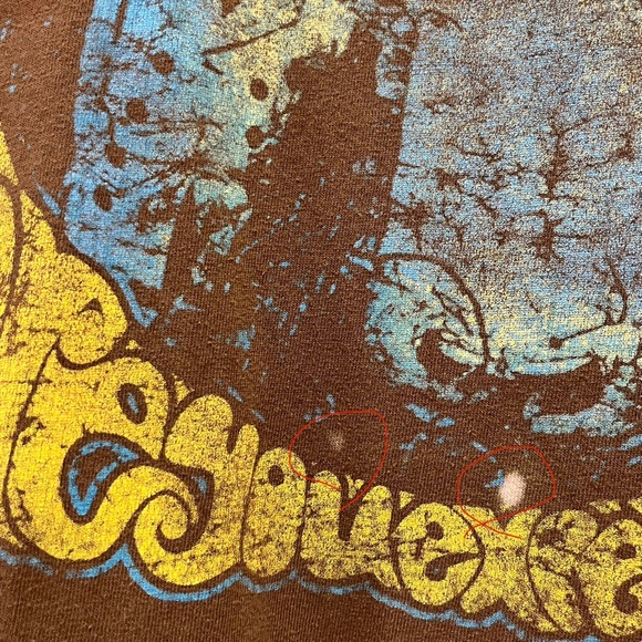 2010 The Jimi Hendrix Are You Experienced Music T-Shirt Brown - Picture 6 of 6